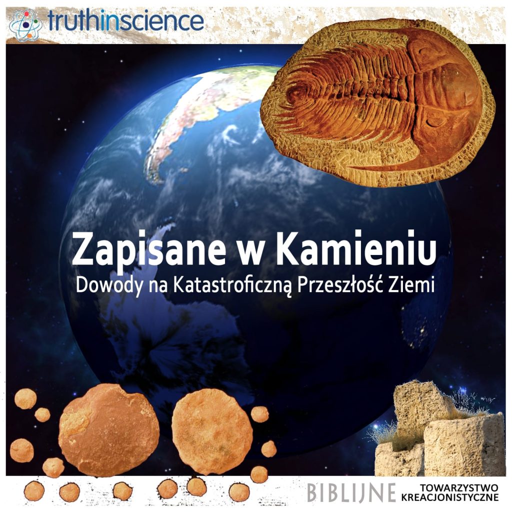 Zapisane w kamieniu - DVD
